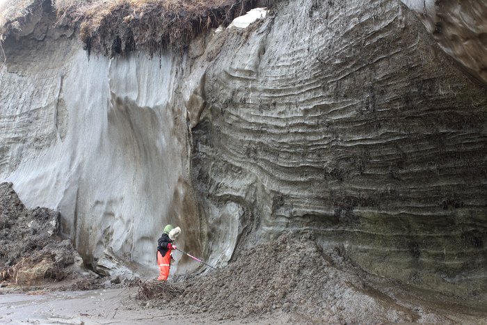 Smooth ice-rich permafrost outcrops next to layered peat-rich permafrost in an eroding coastal bluff.