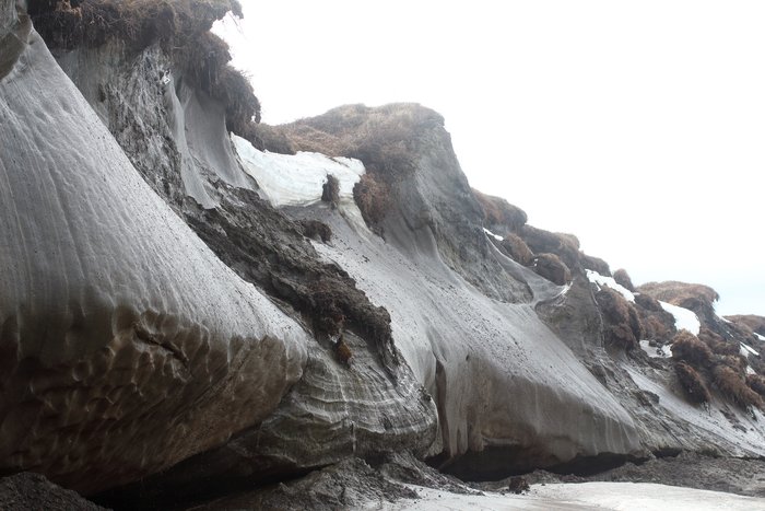 The ocean works on the bottom, the sun works on the top, and the icy bank retreats by meters every year.  Occasionally chunks calve off into the summer surf, vanishing all the faster.