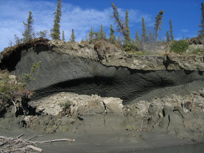On a Brooks Range creek, a permafrost bluff melts in the sun.  