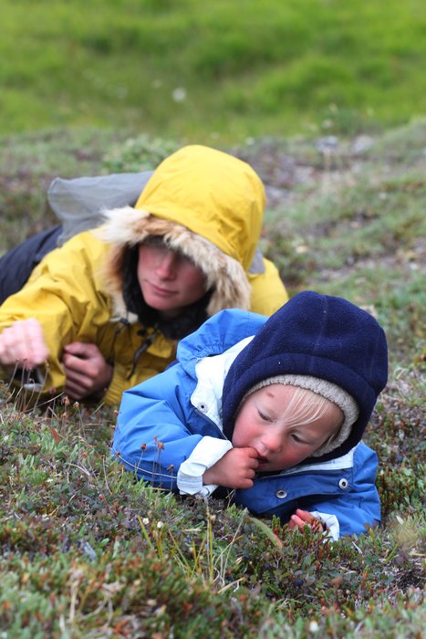 Mom has the dexterity advantage, but Katmai got the best picking spot.
