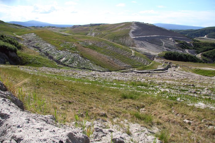 Tractor furrows duel with winding gullies in this closed mine, where <a href="http://www.groundtruthtrekking.org/Issues/AlaskaCoal/UsibelliCoalMine.html">Usibelli Coal Mines</a> is seeking to re-establish native vegetation following mining.