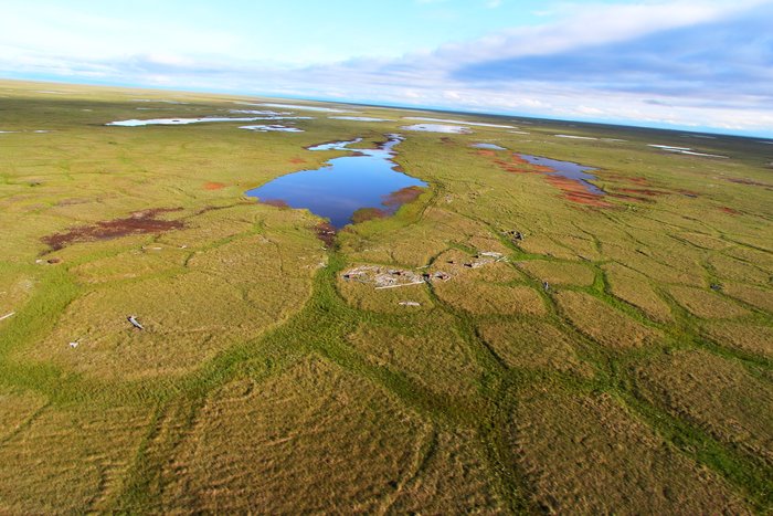 Arctic tundra with polygons.