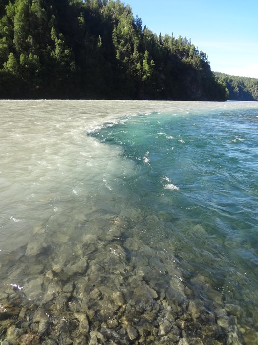 Portage Creek joining Susitna