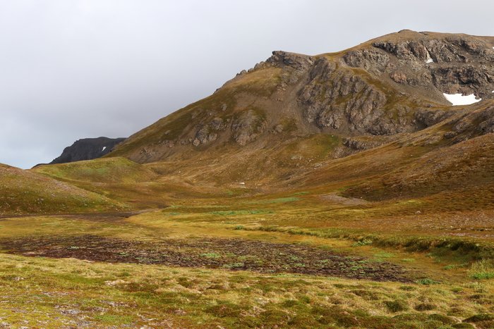 This low area is probably created by the formation of a graben, when a block of rock shifts down as cracks on either side open.