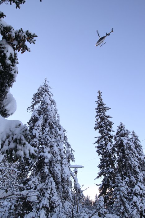 Homer Electric Association flies over the power lines, looking for places where snow-downed trees have broken the wires.