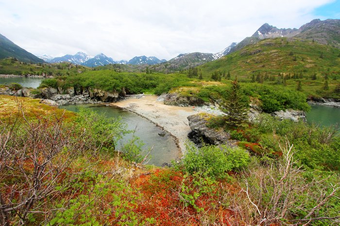 If the Pebble Mine were built, this is where they would like to build the port.