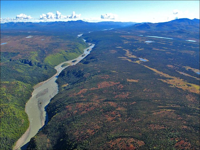 courtesy of P. Roderick - Coalition for Susitna Dam Alternatives