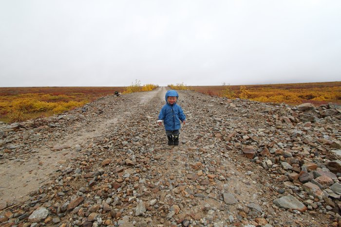 Katmai liked the way the quarry road was easier to walk on than tundra.