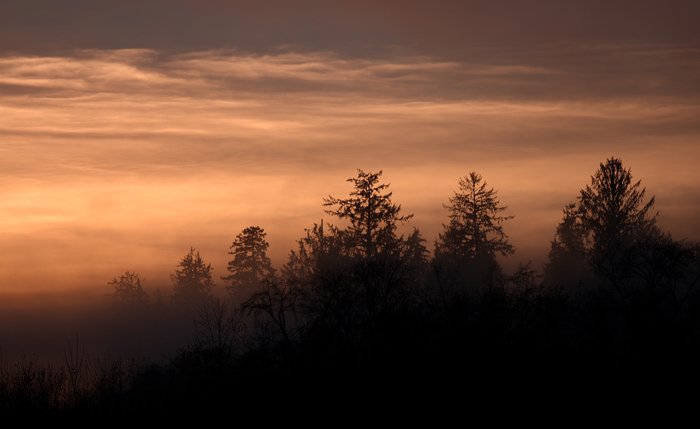 Photos from two hikes along the Queets River in 2004 and 2006.