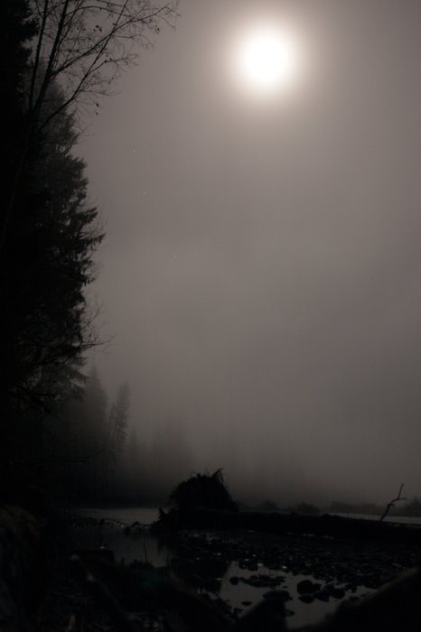 Photos from two hikes along the Queets River in 2004 and 2006.