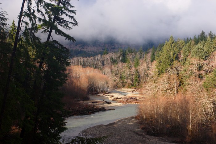 Photos from two hikes along the Queets River in 2004 and 2006.