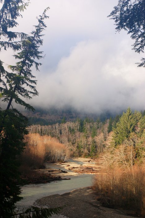 Photos from two hikes along the Queets River in 2004 and 2006.