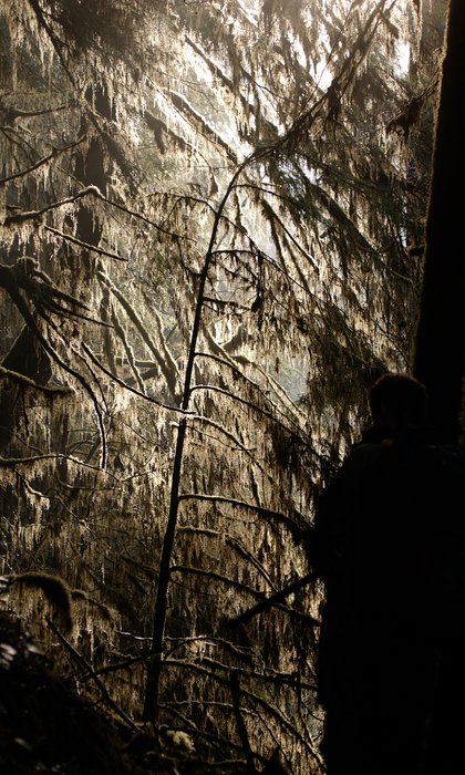 Photos from two hikes along the Queets River in 2004 and 2006.