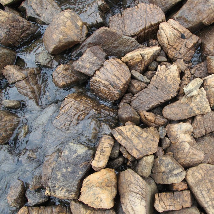 The red-brown rocks on this mountain give it its name.  The dunite (olivine) they are composed of is actually green, which you can see if you break the rocks open, but they oxidize to brown because of the iron in them.  I don't think it's likely anyone is going to change the name to Olive Mountain.