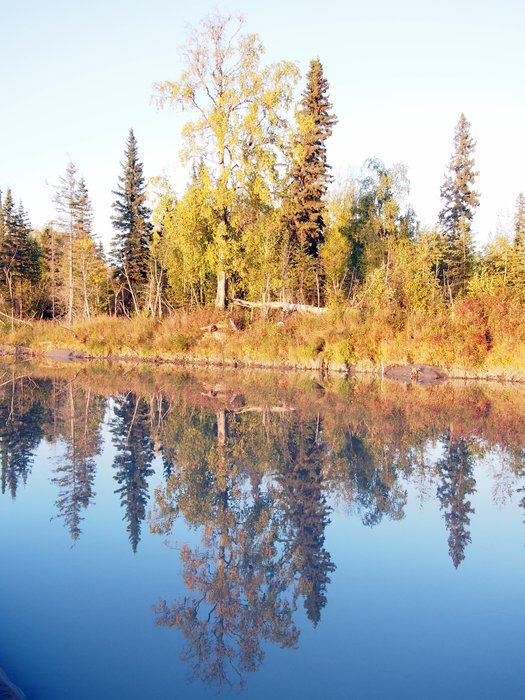 Reflection of colors