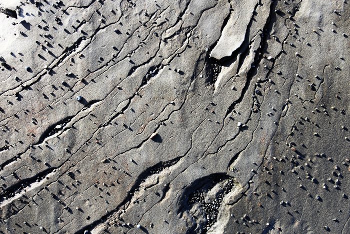 Granules speckle a jointed boulder on the beach near Barabara Creek.