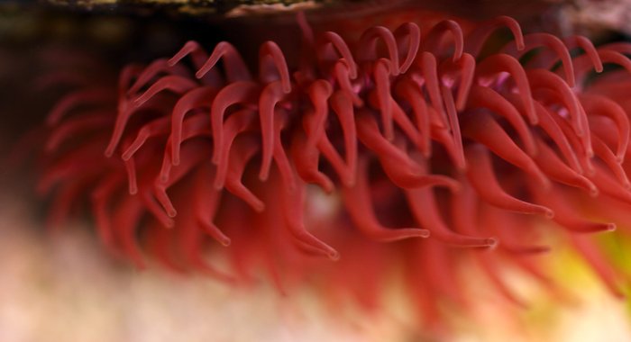 Outside Beach and Naskowak Point