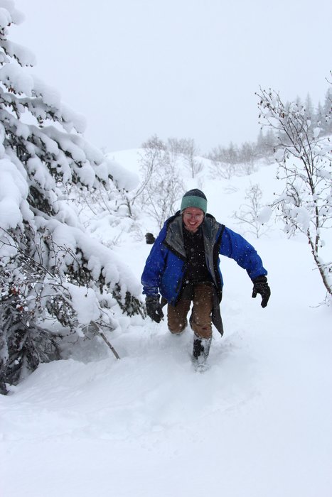 Our weekly day in the woods, in the snowy hills near Wadsworth Creek
