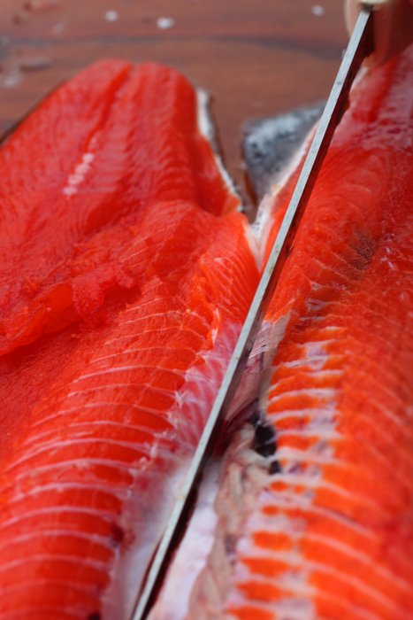 Preparing salmon snagged in Tutka Bay.