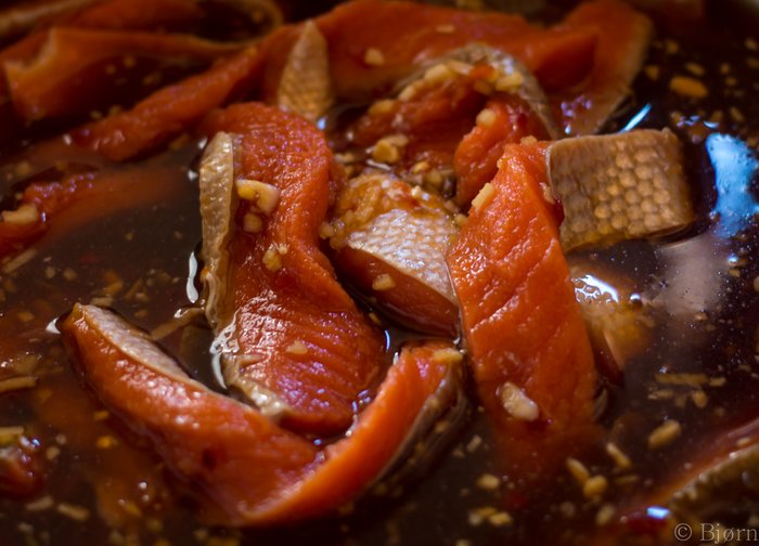 Brining salmon strips in preparation for drying. 