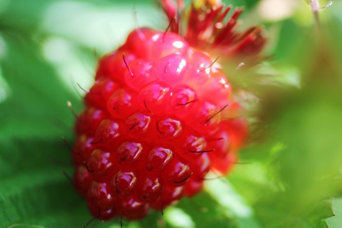 Photos from our 'Smallest Adventure'