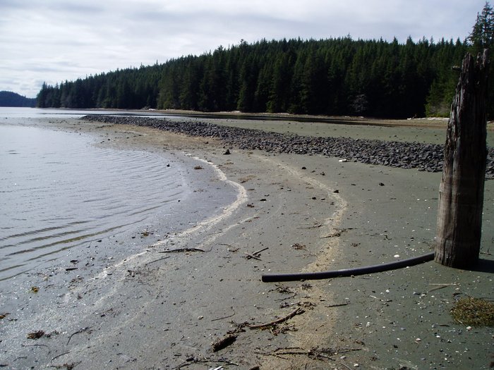 Contaminated tailings on the beach