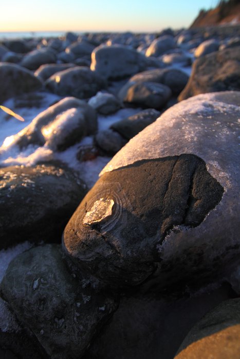 Salt rimes encircle sublimating salt ice on the beach.