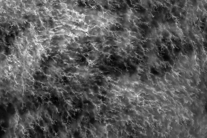 Dendritic channels in the ice drained hypersaline water concentrated as the rest of the water froze.