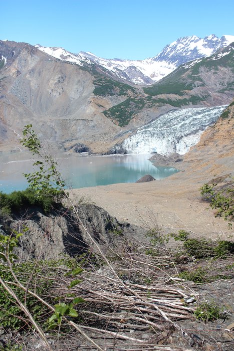A glacier and a mountain conspire to create a tsunami that reshapes the landscape. The glacier undercut and steepened the mountain, then retreated to leave it unsupported. The mountain fell, 150 million tons of rock shooting down into the fjord at the front of the glacier. The fjord, displaced by that landslide surged uphill as a tsunami, reaching the point where this photo was taken from - about 600 feet above the water.