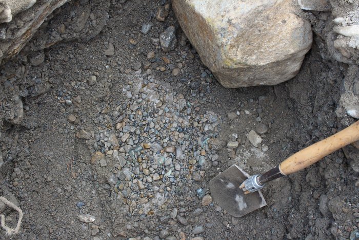 The sediment beneath this boulder was less sandy than most of the tsunami deposit.