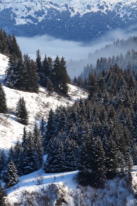A view from the ridge above the yurt on a winter snowshoe