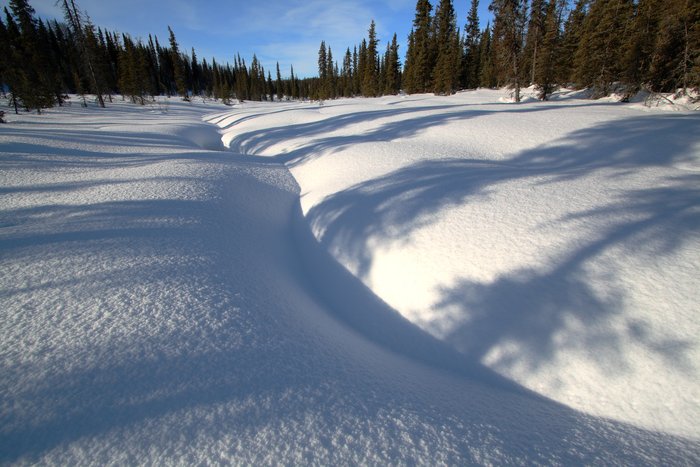 The shadows of spruce trees stretch across this small gully in the low winter sunlight, at the Chuitna Coal prospect