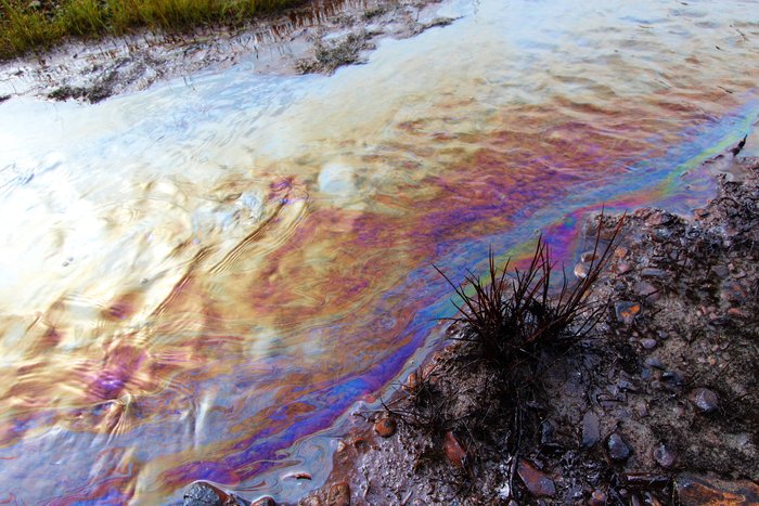 This brisk stream had an ever changing palette of iridescent oil on its surface.