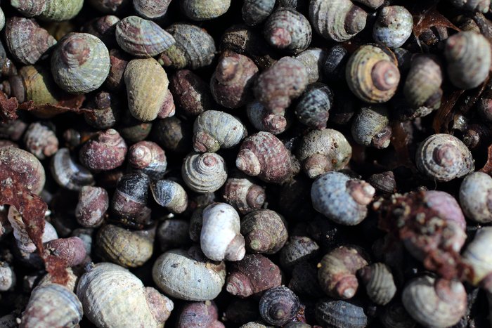 Outside Beach and Naskowak Point