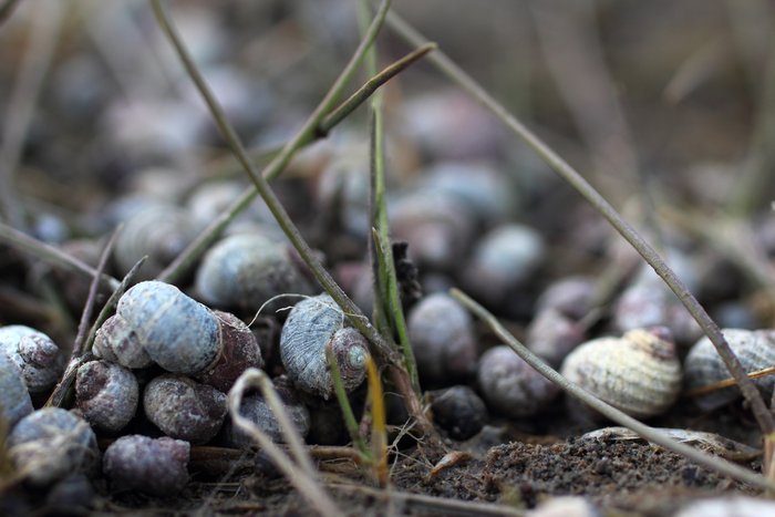 Outside Beach and Naskowak Point