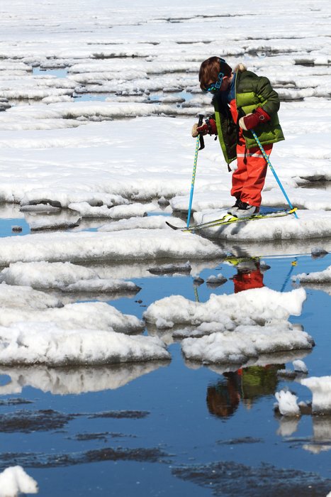 Katmai navigates the maze of icy mud pools atop a lagoon in western Kotzebue Sound.