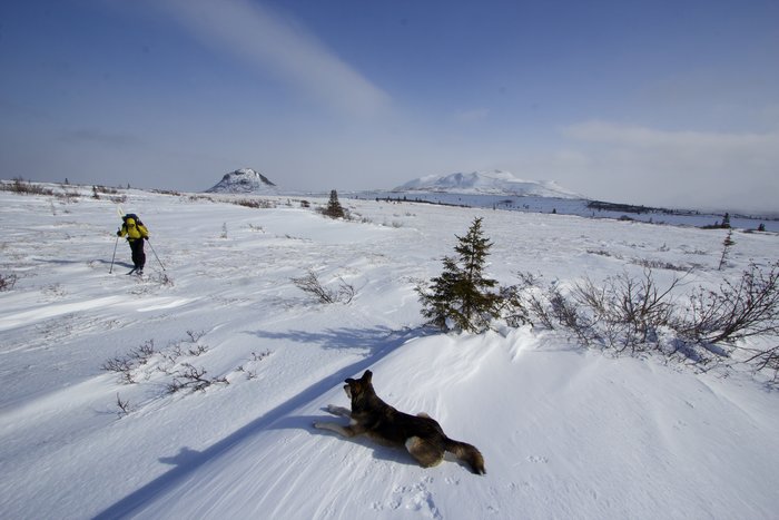 Kate and Russell the Dog make their way above Big Mountain near Lake Iliamna