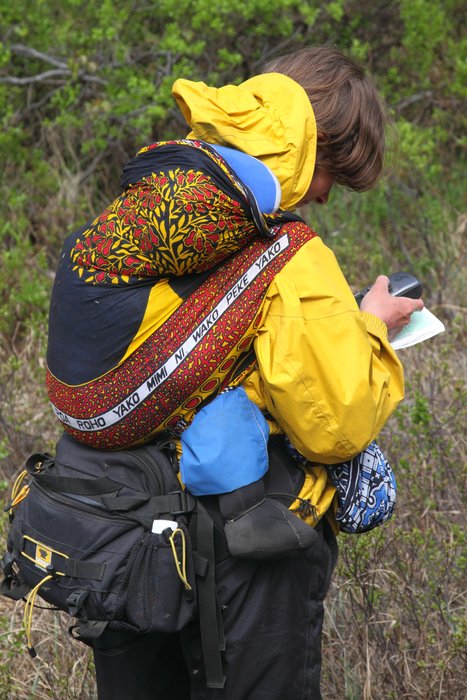 Katmai napped in the wrap, his bottom resting on the fanny pack that carried some of our gear.