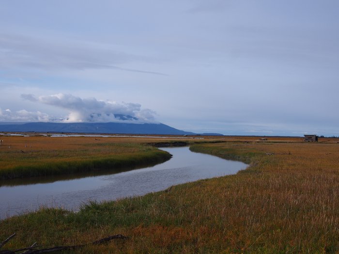 Slough, Mt. Susitna, and cabins