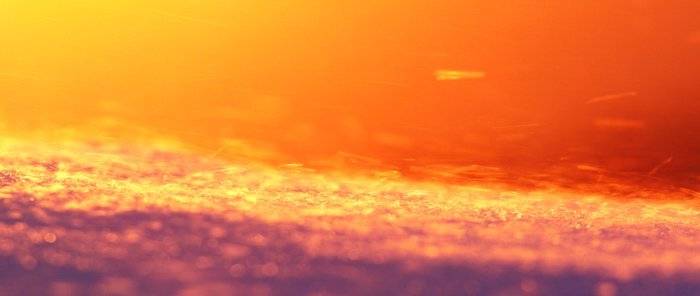 Tight focus on blowing snow at sunset.