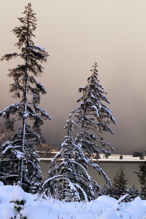 Fine snow creates a haze in the morning light.