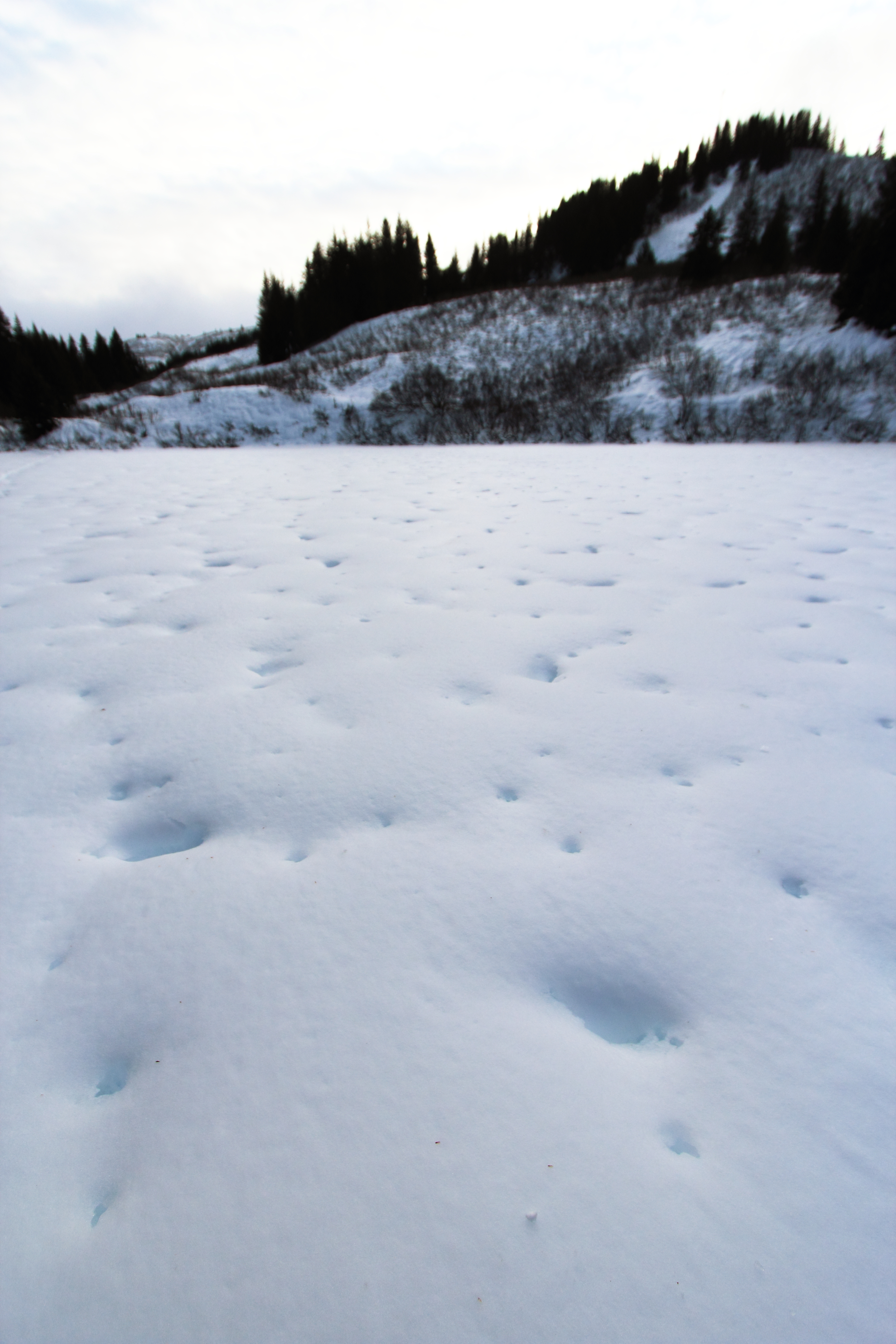 Ground Truth Alaska