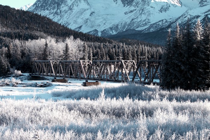 Hoar frost along the railroad.