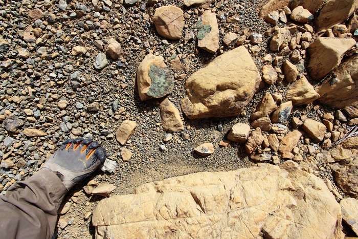 These sorted pebble patches in the mountains are often nestled against boulders.