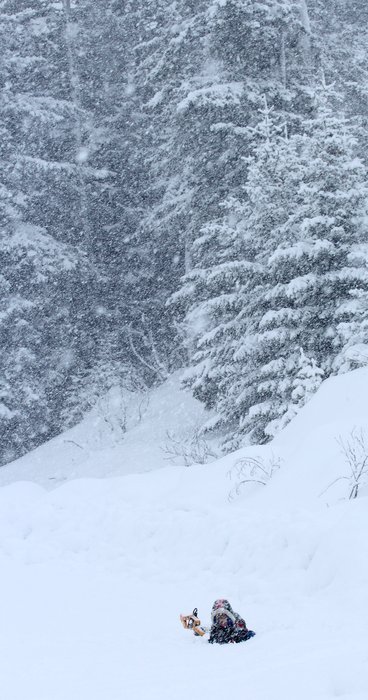 Nearly disappearing in the snow on the side of the road, Katmai plays.