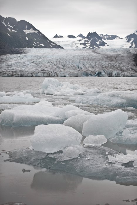 Floating ice was found stacked near our campsite after an overnight calving event