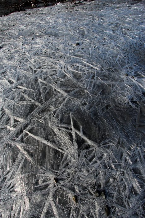 Overnight these crystals grew in the supercooled water from a nearby spring.