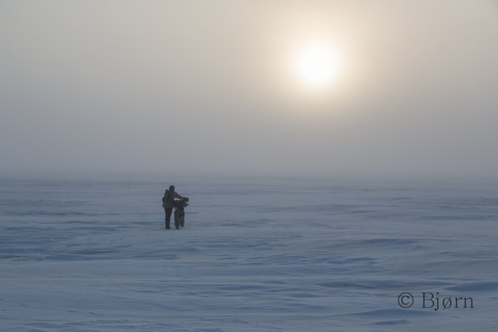 Kim walks out on the sea ice through morning ice fog.