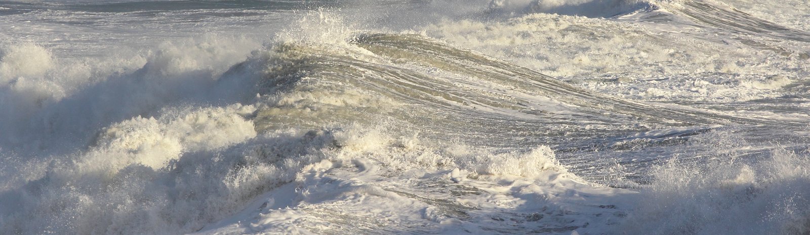 Into the Storms - Excerpt from A Long Trek Home