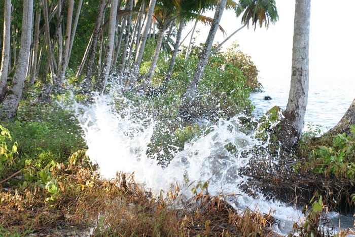 Waves splash onto a small island off Sumatra, six days after a magnitude 8.7 earthquake shook the area.  The island subsided as the plate beneath it shifted seaward, allowing 